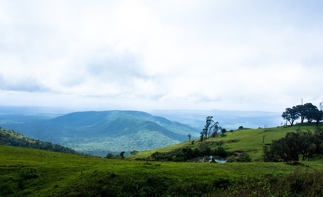 感同樣重要 感同樣重要