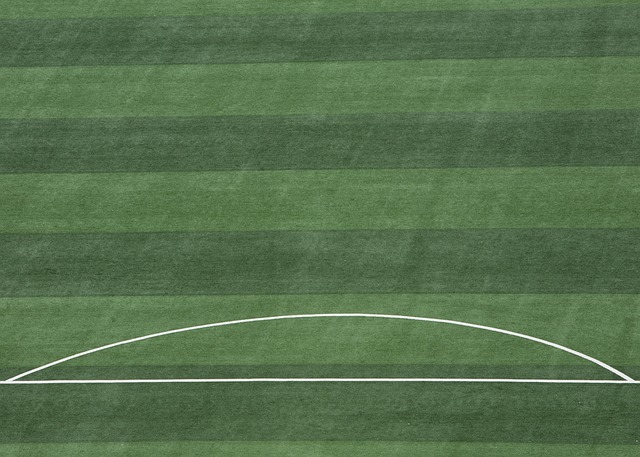 也有所提升 也有所提升