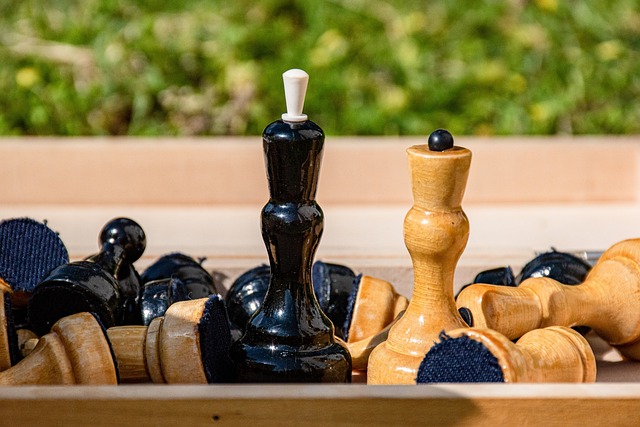 功运动员的 功运动员的